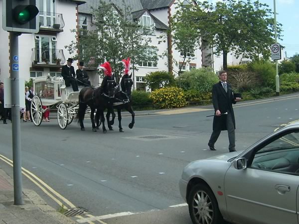 David paging the horse drawn hearse